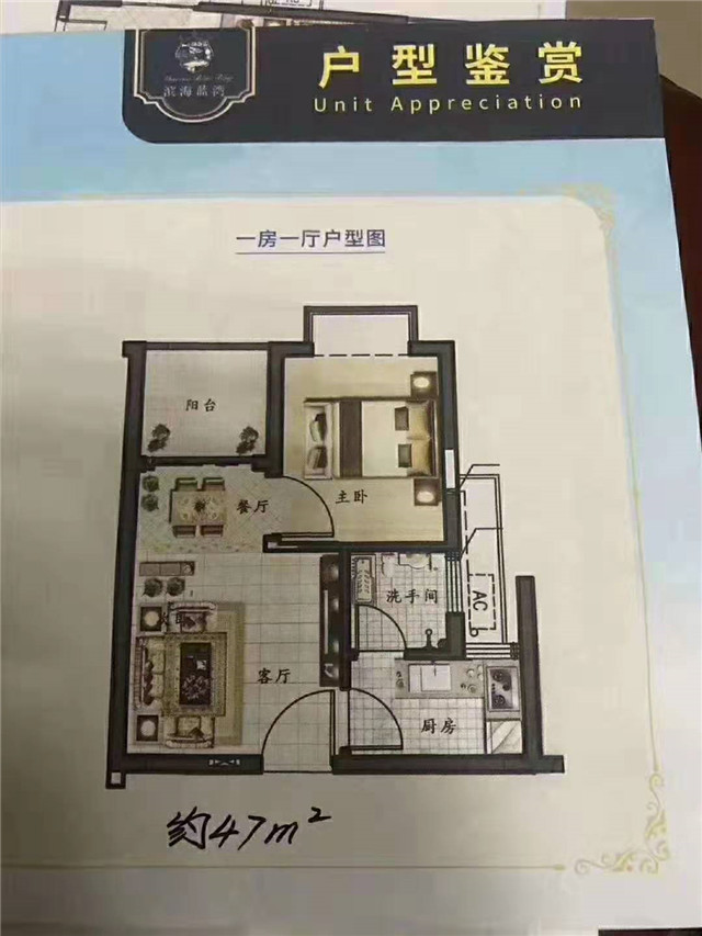 微信图片_201909171221463.jpg