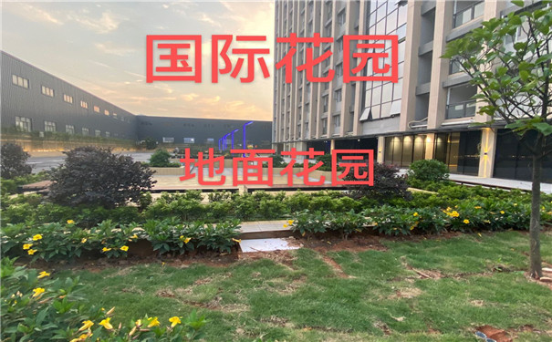微信图片_20210507110401.jpg