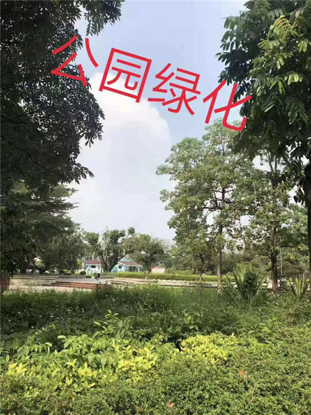微信图片_201909301106066.jpg